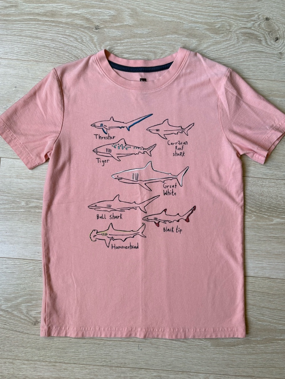 Tea Collection Size 10
